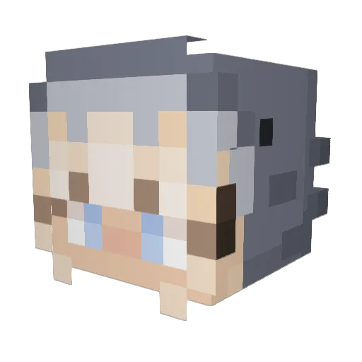 Chef_Bee Minecraft avatar head, 3D render