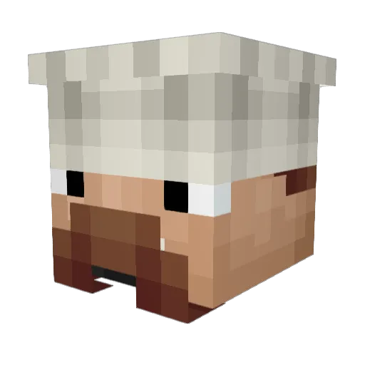 Chef_Bourgeoisie Minecraft avatar head, 3D render