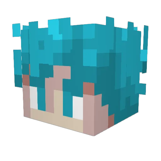 Chef_Luis27 Minecraft avatar head, 3D render