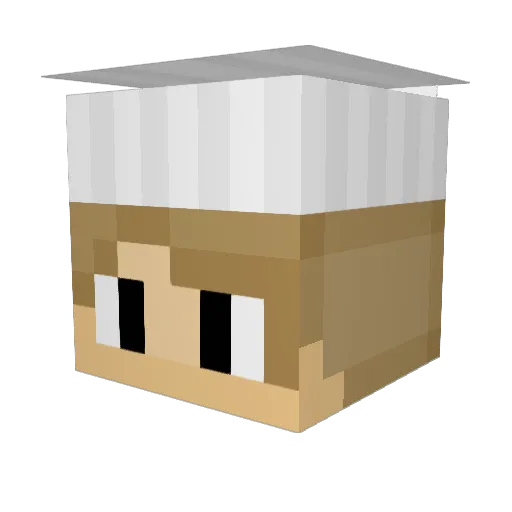 Chef_V2 Minecraft avatar head, 3D render