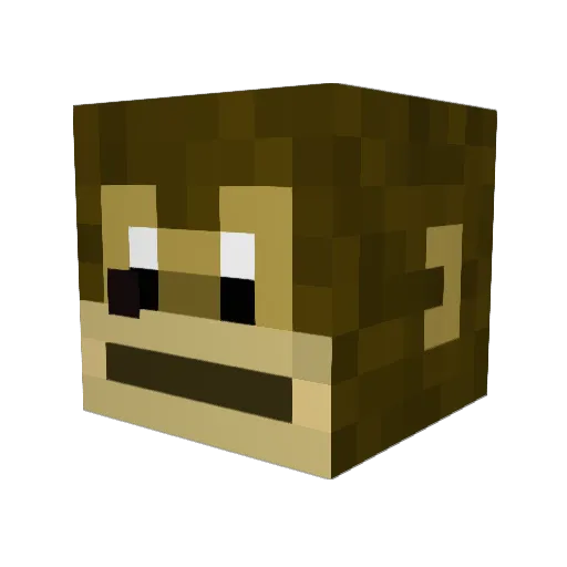 Chefchuchu Minecraft avatar head, 3D render