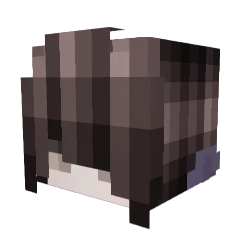 ChefinEmi Minecraft avatar head, 3D render