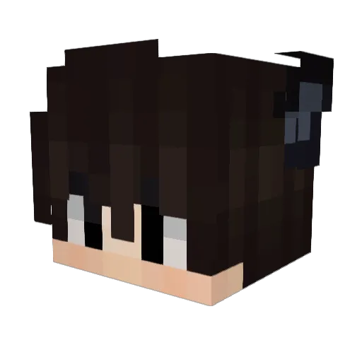 ChefkochSoma Minecraft avatar head, 3D render