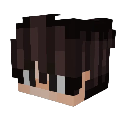 ChefmannDniedrig Minecraft avatar head, 3D render