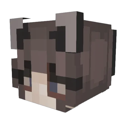 ChelleinOrbit Minecraft avatar head, 3D render