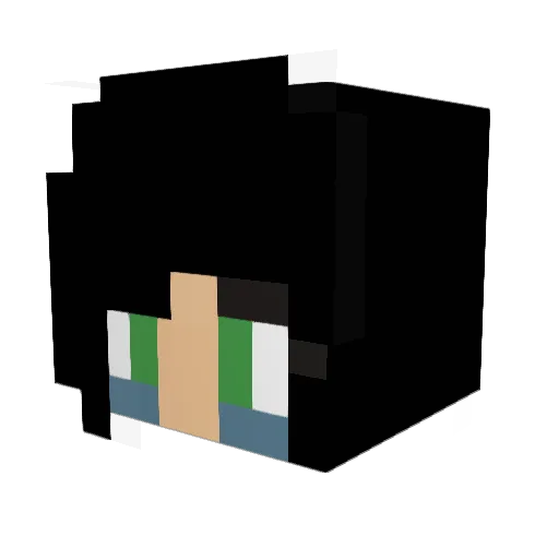 Chelleybeans Minecraft avatar head, 3D render
