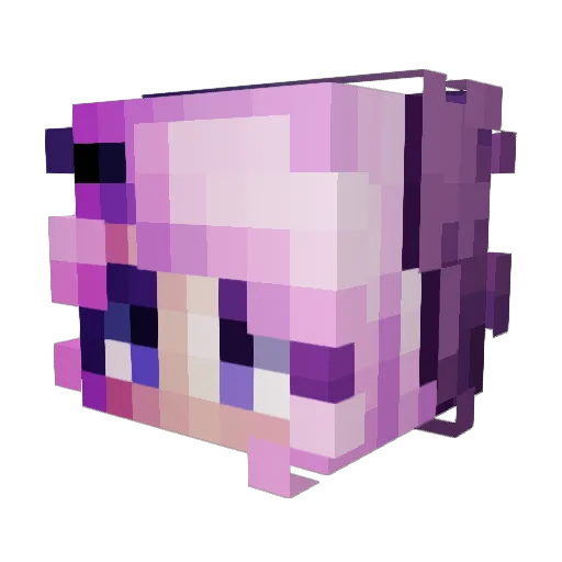 Chello546 Minecraft avatar head, 3D render