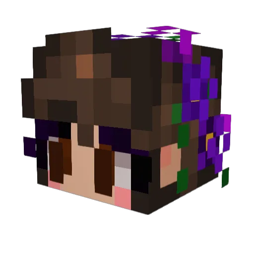 Chellysmelly Minecraft avatar head, 3D render