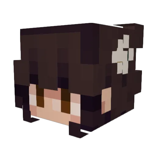 Chelpster Minecraft avatar head, 3D render
