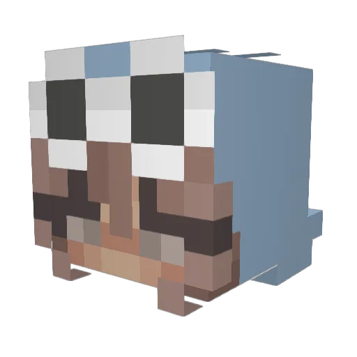 ChelsNootFound Minecraft avatar head, 3D render