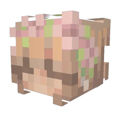 ChelseaCC Minecraft avatar head, 3D render