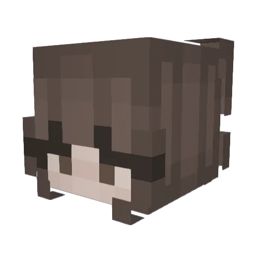 Chelsy0918 Minecraft avatar head, 3D render
