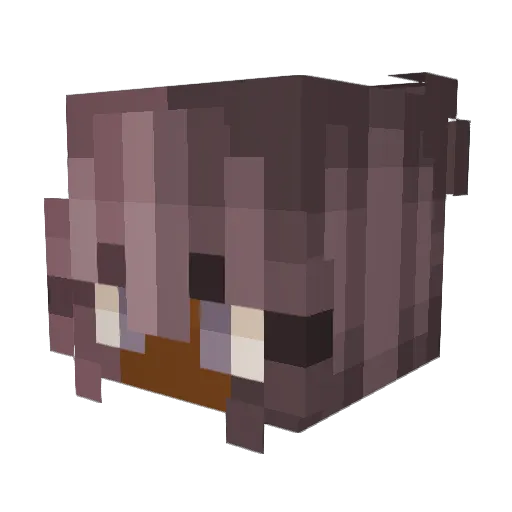 ChemCloud Minecraft avatar head, 3D render