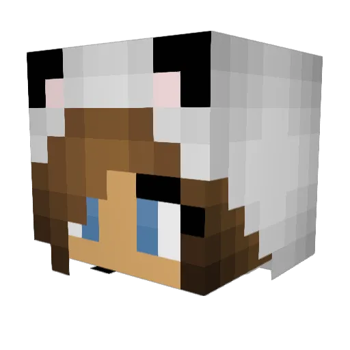 Chemosburning Minecraft avatar head, 3D render