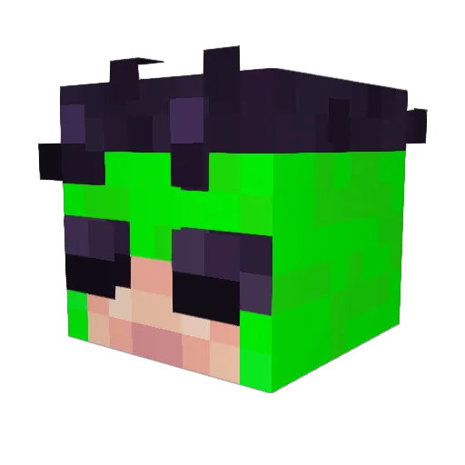Chems_DZ Minecraft avatar head, 3D render