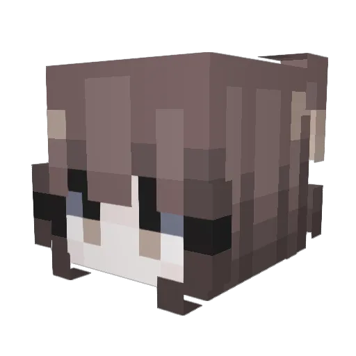 ChenHongxu Minecraft avatar head, 3D render