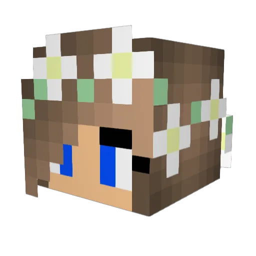 Chen_Apan Minecraft avatar head, 3D render