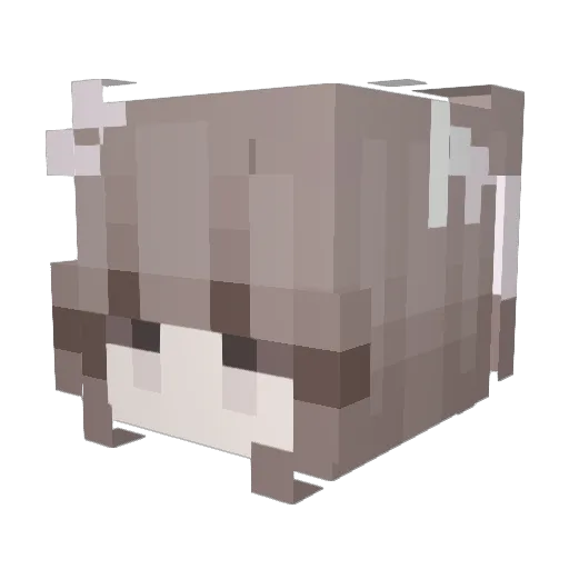 Chen_nnn Minecraft avatar head, 3D render