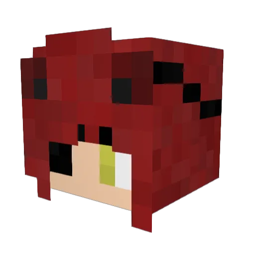 ChenisSmart008 Minecraft avatar head, 3D render