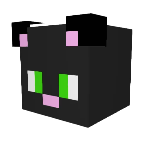 CherilynTPN Minecraft avatar head, 3D render