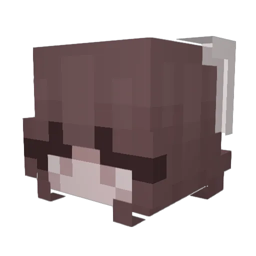 Cherokee240 Minecraft avatar head, 3D render