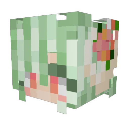 Cherri_Bloss0m Minecraft avatar head, 3D render