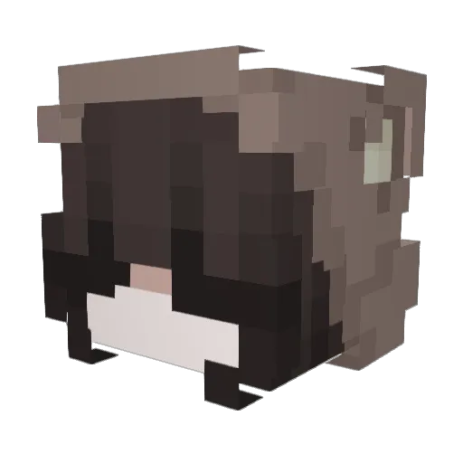 Cherribunz Minecraft avatar head, 3D render