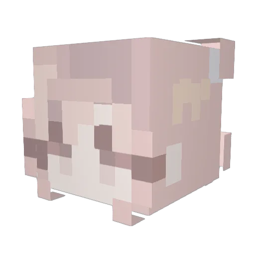 Cherry20608 Minecraft avatar head, 3D render