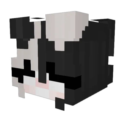 CherryBomb156 Minecraft avatar head, 3D render