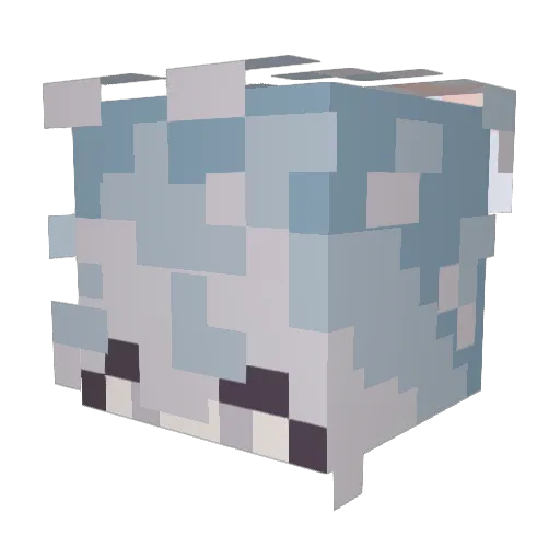 CherryBombError Minecraft avatar head, 3D render