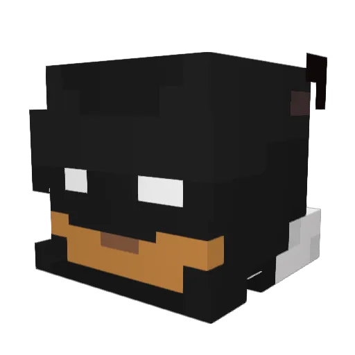 CherryBombTL Minecraft avatar head, 3D render