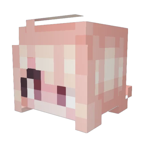 CherryEN Minecraft avatar head, 3D render