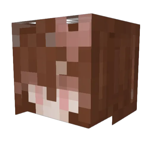 CherryEllen Minecraft avatar head, 3D render
