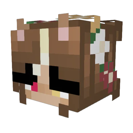 CherryIsHere Minecraft avatar head, 3D render