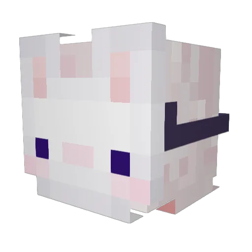 CherryM0on Minecraft avatar head, 3D render