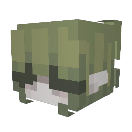 CherryNoir_ Minecraft avatar head, 3D render