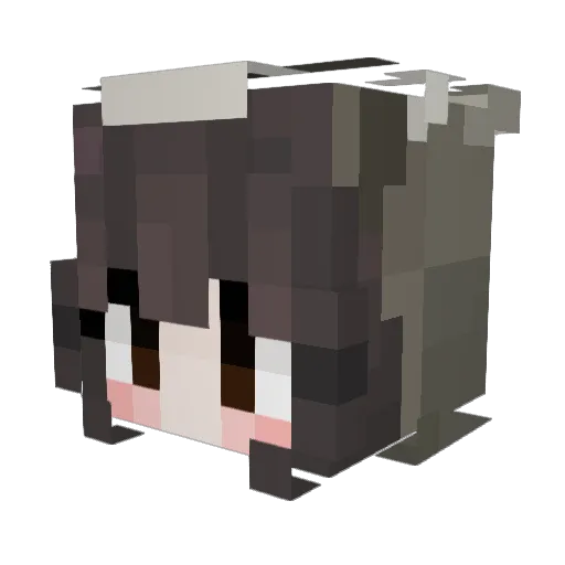 CherryRacc Minecraft avatar head, 3D render