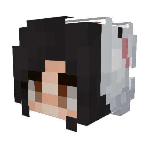 CherryToBurry Minecraft avatar head, 3D render
