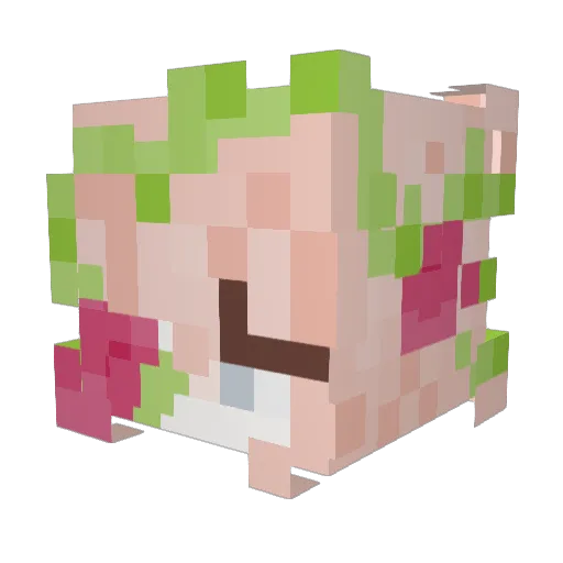CherryXV Minecraft avatar head, 3D render