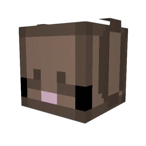 Cherry_Blossom35 Minecraft avatar head, 3D render