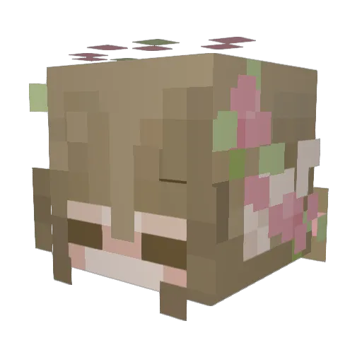 CherryyBlossom6 Minecraft avatar head, 3D render