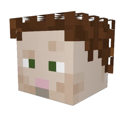 Chertcaverill Minecraft avatar head, 3D render