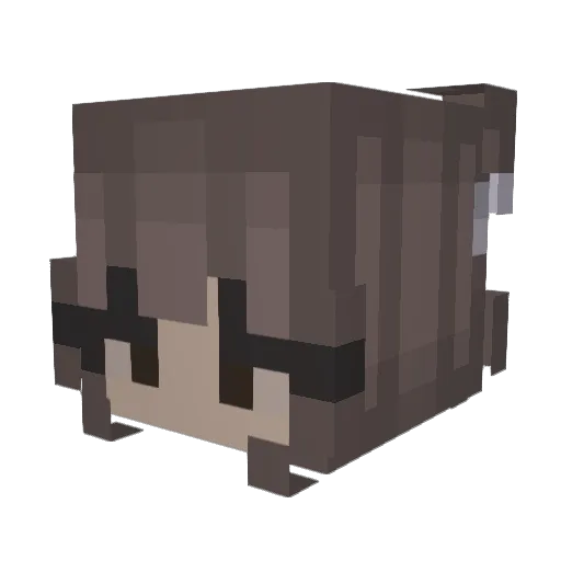 ChesKat Minecraft avatar head, 3D render
