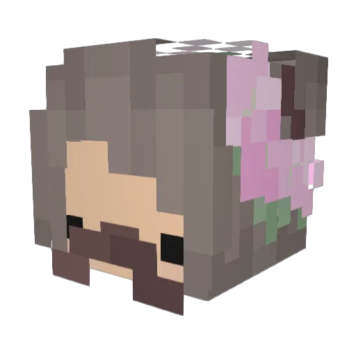 Chesh1re Minecraft avatar head, 3D render