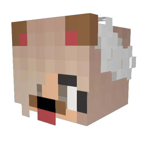 CheshireCat019 Minecraft avatar head, 3D render