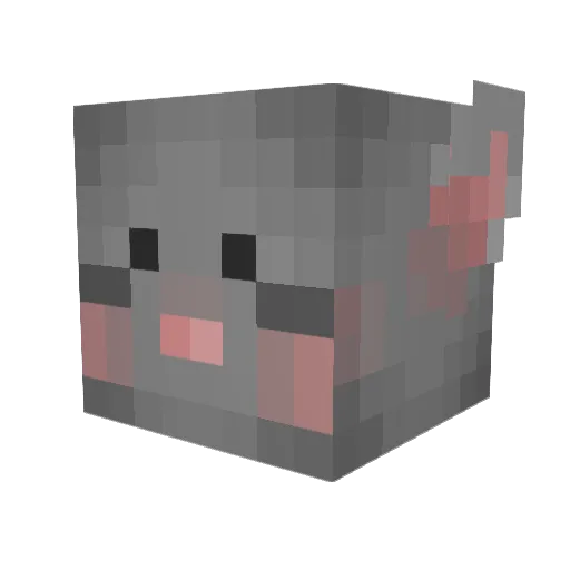 CheshireCat466 Minecraft avatar head, 3D render