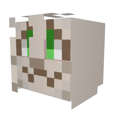 Chesriel Minecraft avatar head, 3D render