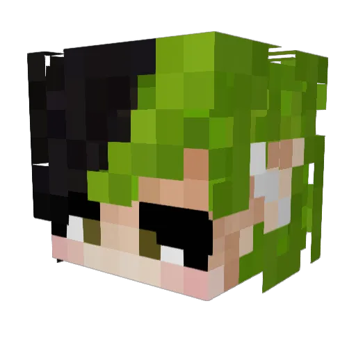 Chessxn Minecraft avatar head, 3D render