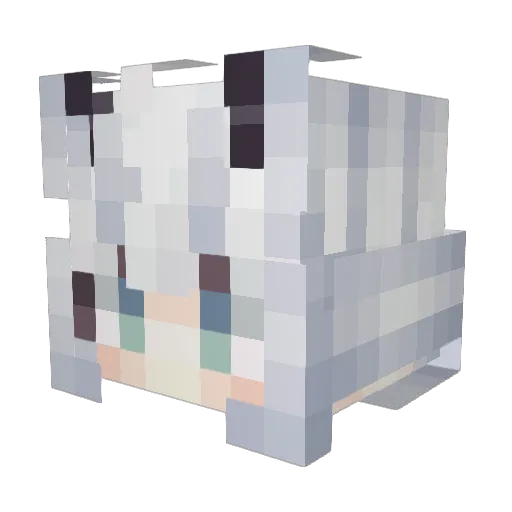 Chester078 Minecraft avatar head, 3D render
