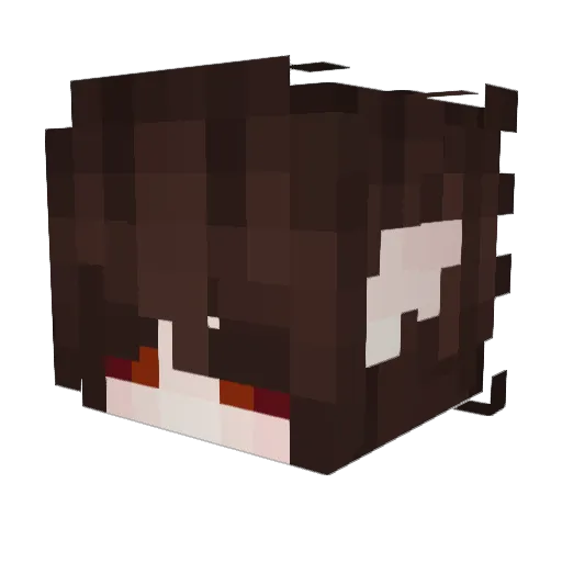 ChesterVulpes Minecraft avatar head, 3D render
